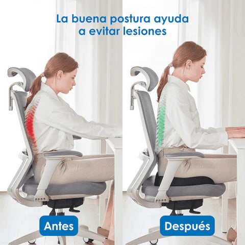Ergocush™ - Cojín para dolores de espalda y coxis🪑✨