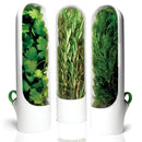 Everfresh™ - Conservador de hierbas 🌿🌱 2 x 1!!